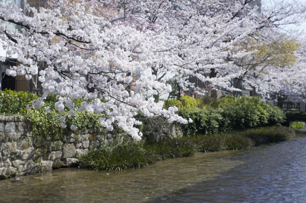 Jeugiya Villa Kyoto Dış mekan fotoğraf